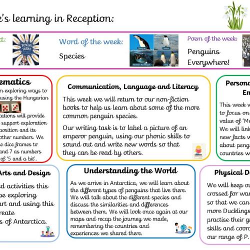 Week 5 Learning Overview